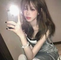 李顾问案例页